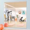 imageHasipu Home Gym Mirror 55 L x 21 W  2PCS Large Full Body Mirror for Yoga WallMounted Mirrors for Fitness Garage Dance Studio 016in Tempered Glass FramelessSilver