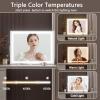 imageHasipu Vanity Mirror with Lights 10 x 12 LED Makeup Mirror 3 Modes Light Smart Touch Control Dimmable 360Rotation Rectangle White Frame14L x 11W